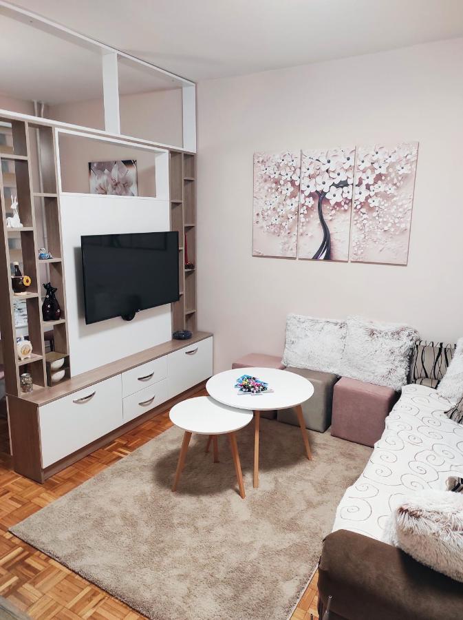 Apartman Stanisic פאלה מראה חיצוני תמונה